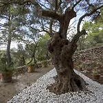 Sa Casa Des Mirador