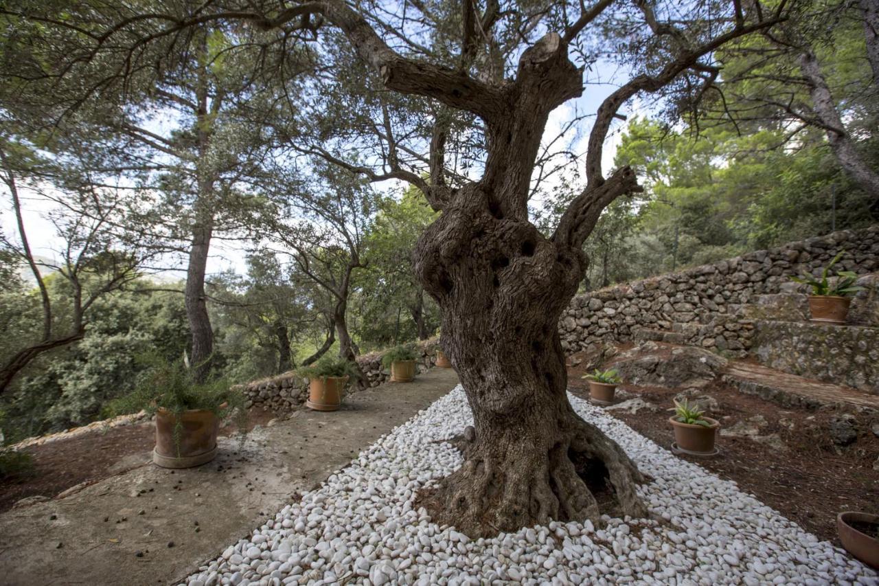 Villa Sa Casa Des Mirador